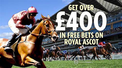 royal bets alternative